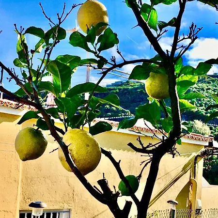 Casa vacanze Immaculate 3-bed House Garden In *