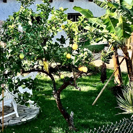 Immaculate 3-bed House Garden In Casa vacanze *