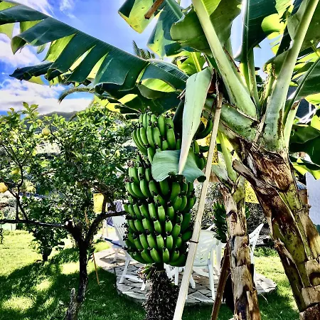 Immaculate 3-bed House Garden In Casa vacanze